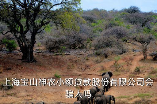 上海神農(nóng)小額貸款公司經(jīng)理叫什么，上海寶山神農(nóng)小額貸款股份有限公司會騙人嗎