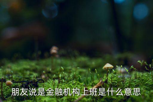 朋友說是金融機構上班是什么意思
