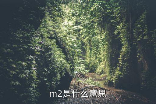 中國(guó)m2是什么，m2是什么意思