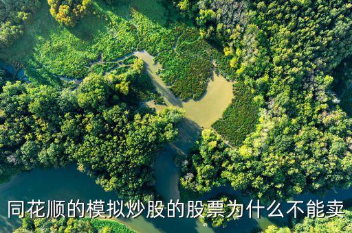 財達同花順股票為什么不能買賣，同花順的模擬炒股的股票為什么不能賣