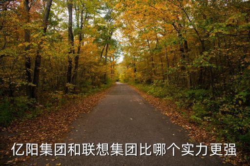 億陽(yáng)集團(tuán)的發(fā)展戰(zhàn)略是什么，億陽(yáng)集團(tuán)和聯(lián)想集團(tuán)比哪個(gè)實(shí)力更強(qiáng)