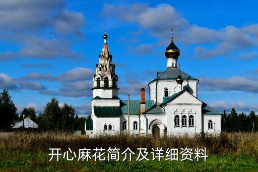 中國文化產業(yè)投資基金,朱建程 中國文化產業(yè)投資基金