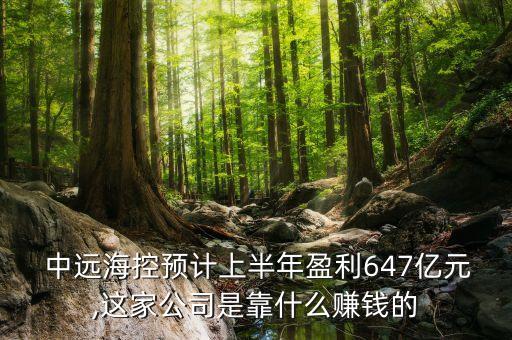  中遠(yuǎn)?？仡A(yù)計(jì)上半年盈利647億元,這家公司是靠什么賺錢的