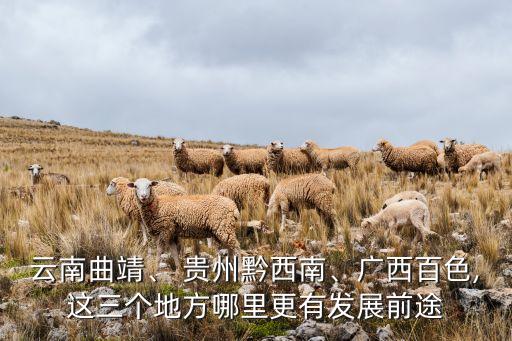 云南曲靖、 貴州黔西南、廣西百色,這三個(gè)地方哪里更有發(fā)展前途