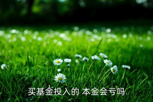 買(mǎi)基金投入的 本金會(huì)虧嗎