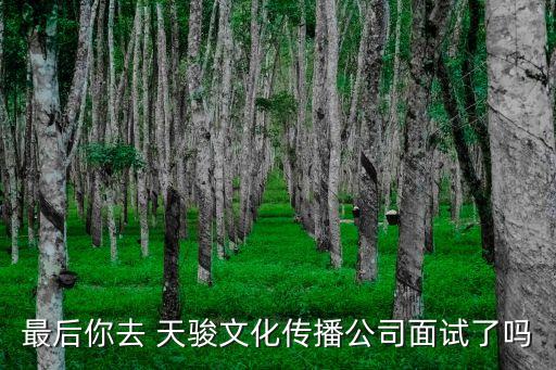 天駿投資,天驕天駿投資多少錢(qián)