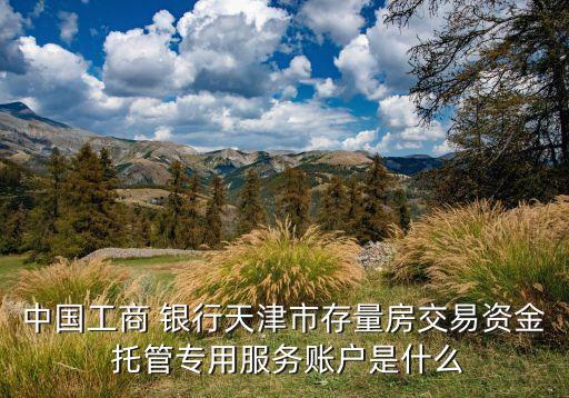 中國(guó)工商 銀行天津市存量房交易資金 托管專(zhuān)用服務(wù)賬戶(hù)是什么