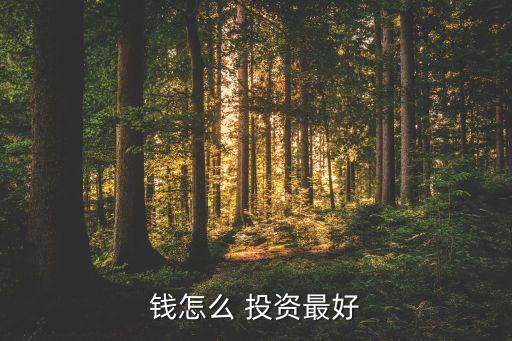 錢(qián)怎么 投資最好