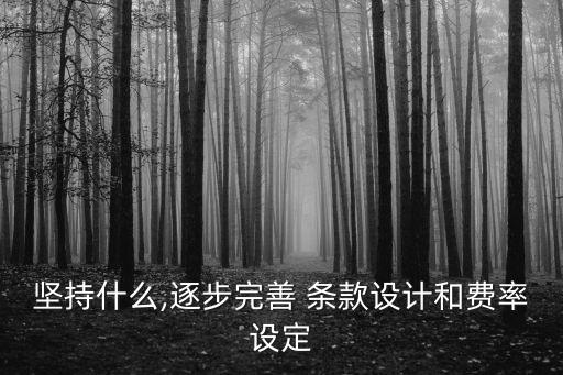 堅持什么,逐步完善 條款設(shè)計和費(fèi)率設(shè)定