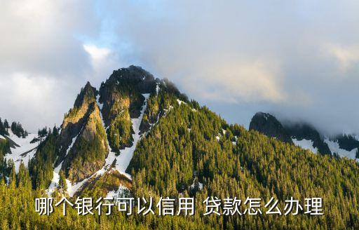哪些基金公司做信譽貸款,基金公司可以做哪些業(yè)務(wù)