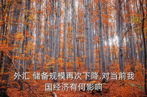 簡(jiǎn)要分析中國(guó)外匯儲(chǔ)備過(guò)剩的影響
