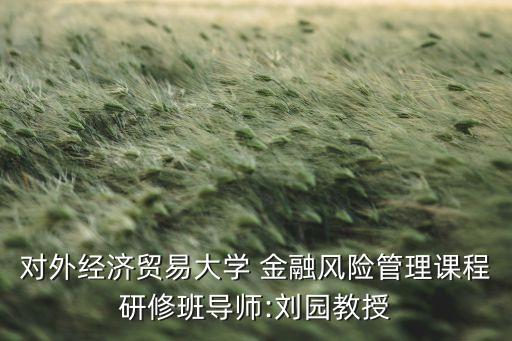 對外經(jīng)濟(jì)貿(mào)易大學(xué) 金融風(fēng)險管理課程研修班導(dǎo)師:劉園教授