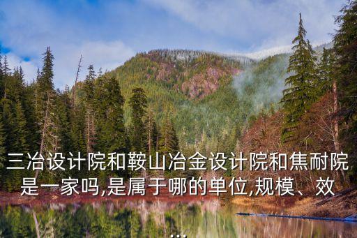 三冶設(shè)計院和鞍山冶金設(shè)計院和焦耐院是一家嗎,是屬于哪的單位,規(guī)模、效...