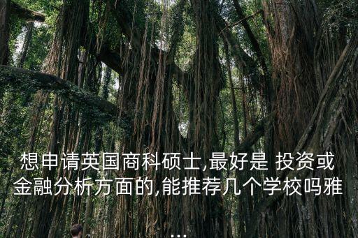 想申請英國商科碩士,最好是 投資或金融分析方面的,能推薦幾個學校嗎雅...