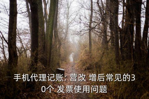 手機(jī)代理記賬: 營(yíng)改 增后常見(jiàn)的30個(gè) 發(fā)票使用問(wèn)題