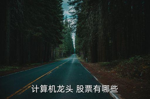 計算機(jī)龍頭 股票有哪些