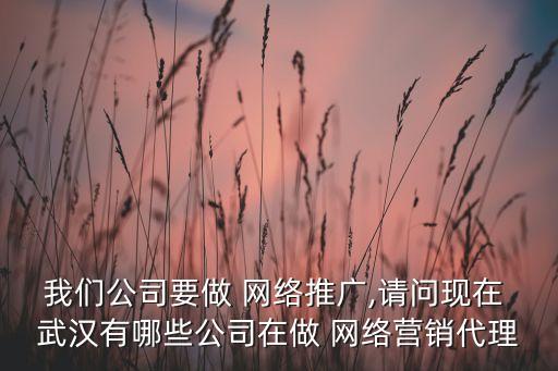 我們公司要做 網(wǎng)絡(luò)推廣,請問現(xiàn)在 武漢有哪些公司在做 網(wǎng)絡(luò)營銷代理