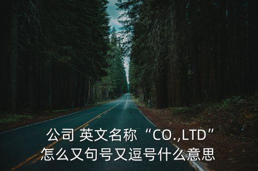 國(guó)內(nèi)公司英文名