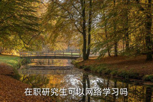 在職研究生可以網(wǎng)絡學習嗎