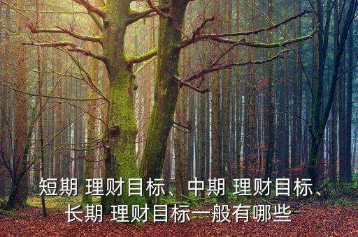 短期投資與理財方案,中短期投資與理財網