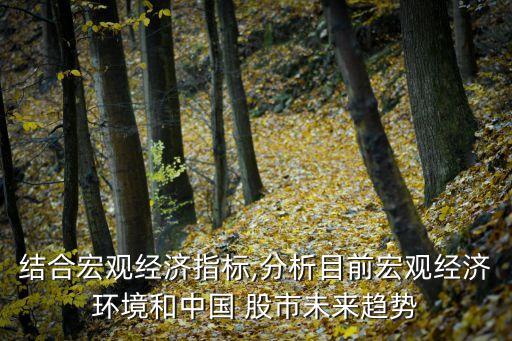 結合宏觀經濟指標,分析目前宏觀經濟環(huán)境和中國 股市未來趨勢