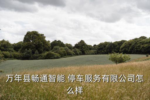 停車(chē)服務(wù)公司