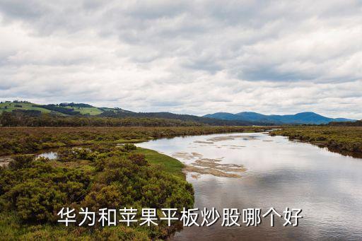 華為和蘋(píng)果平板炒股哪個(gè)好