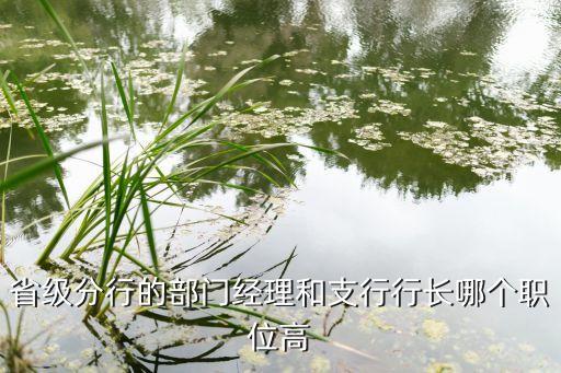 吉林銀行監(jiān)事會,銀行監(jiān)事會年度工作計(jì)劃