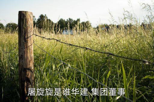 上海國盛集團(tuán)張立平,內(nèi)蒙古環(huán)投集團(tuán)張立平