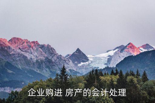 企業(yè)購進 房產的會計處理