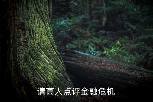 請高人點(diǎn)評金融危機(jī)