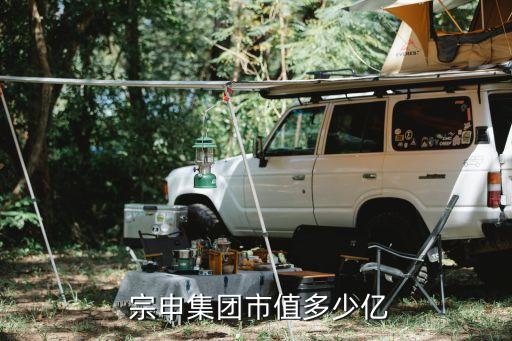 江蘇宗申派姆電動機(jī)車有限公司