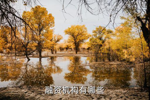 融資機構(gòu)有哪些