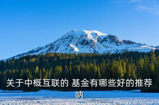 互聯(lián)網基金公司,互聯(lián)家基金