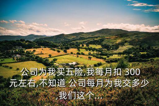  公司為我買(mǎi)五險(xiǎn),我每月扣 300元左右,不知道 公司每月為我交多少,我們這個(gè)...