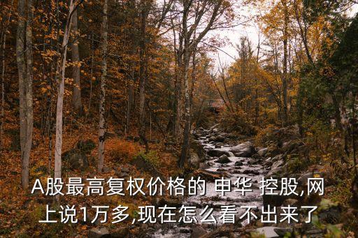 A股最高復權(quán)價格的 申華 控股,網(wǎng)上說1萬多,現(xiàn)在怎么看不出來了