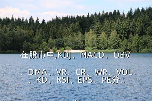 在股市中,KDJ、MACD、OBV、DMA、VR、CR、WR、VOL、KD、RSI、EPS、PE分...