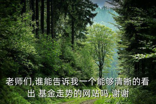 老師們,誰能告訴我一個能夠清晰的看出 基金走勢的網站嗎,謝謝