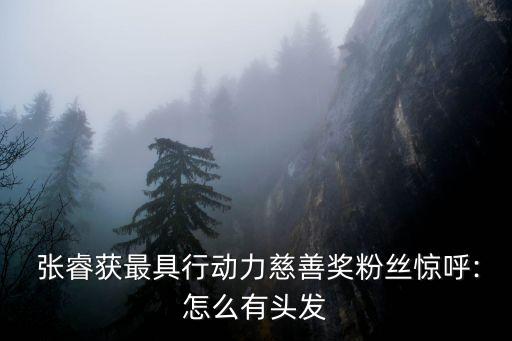 張?；饦I(yè)績(jī),2022基金業(yè)績(jī)排行榜