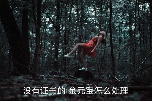 沒(méi)有證書(shū)的 金元寶怎么處理