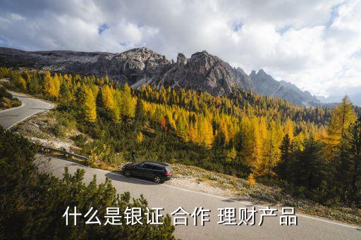 什么是銀證 合作 理財產(chǎn)品