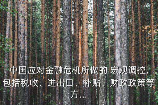 中國應(yīng)對金融危機所做的 宏觀調(diào)控,包括稅收、進出口、補貼、財政政策等方...