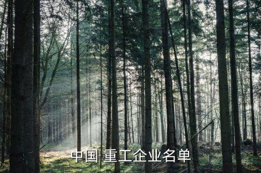 中國(guó) 重工企業(yè)名單