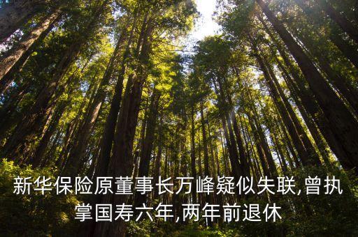 新華保險(xiǎn)原董事長(zhǎng)萬(wàn)峰疑似失聯(lián),曾執(zhí)掌國(guó)壽六年,兩年前退休