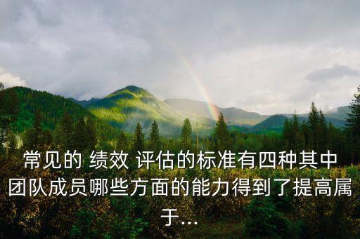 常見的 績效 評(píng)估的標(biāo)準(zhǔn)有四種其中團(tuán)隊(duì)成員哪些方面的能力得到了提高屬于...