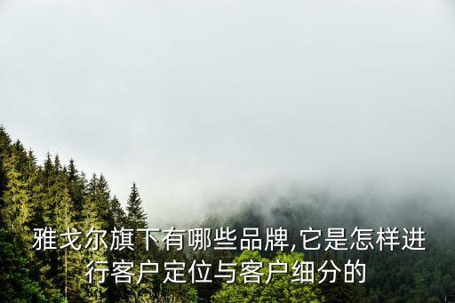  雅戈爾旗下有哪些品牌,它是怎樣進(jìn)行客戶定位與客戶細(xì)分的