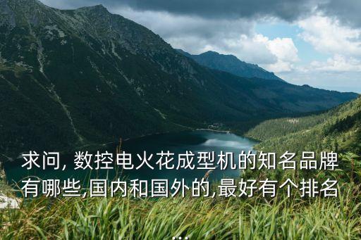 求問, 數(shù)控電火花成型機(jī)的知名品牌有哪些,國(guó)內(nèi)和國(guó)外的,最好有個(gè)排名...