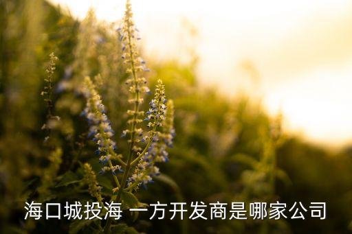?？诔峭逗?一方開(kāi)發(fā)商是哪家公司
