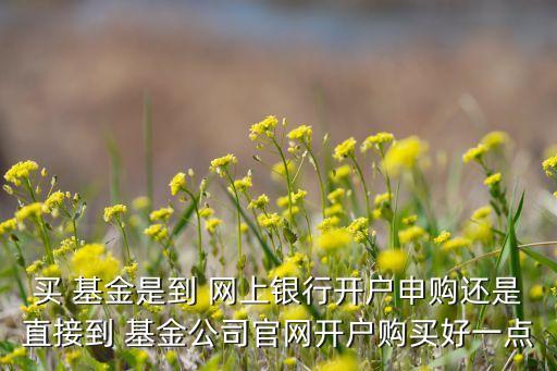買(mǎi) 基金是到 網(wǎng)上銀行開(kāi)戶(hù)申購(gòu)還是直接到 基金公司官網(wǎng)開(kāi)戶(hù)購(gòu)買(mǎi)好一點(diǎn)