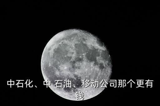 中石化、中 石油、移動(dòng)公司那個(gè)更有錢